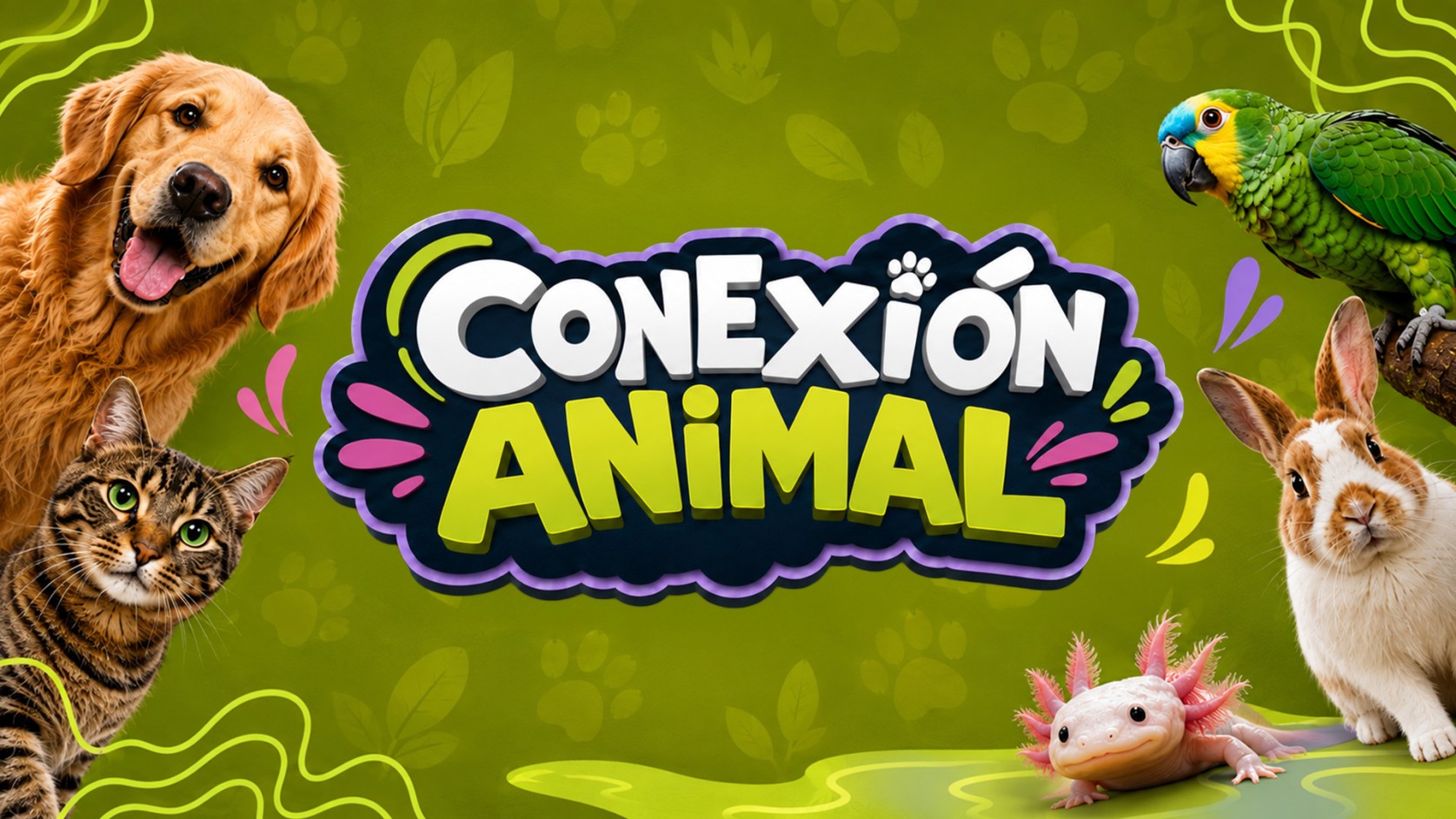 Conexión animal