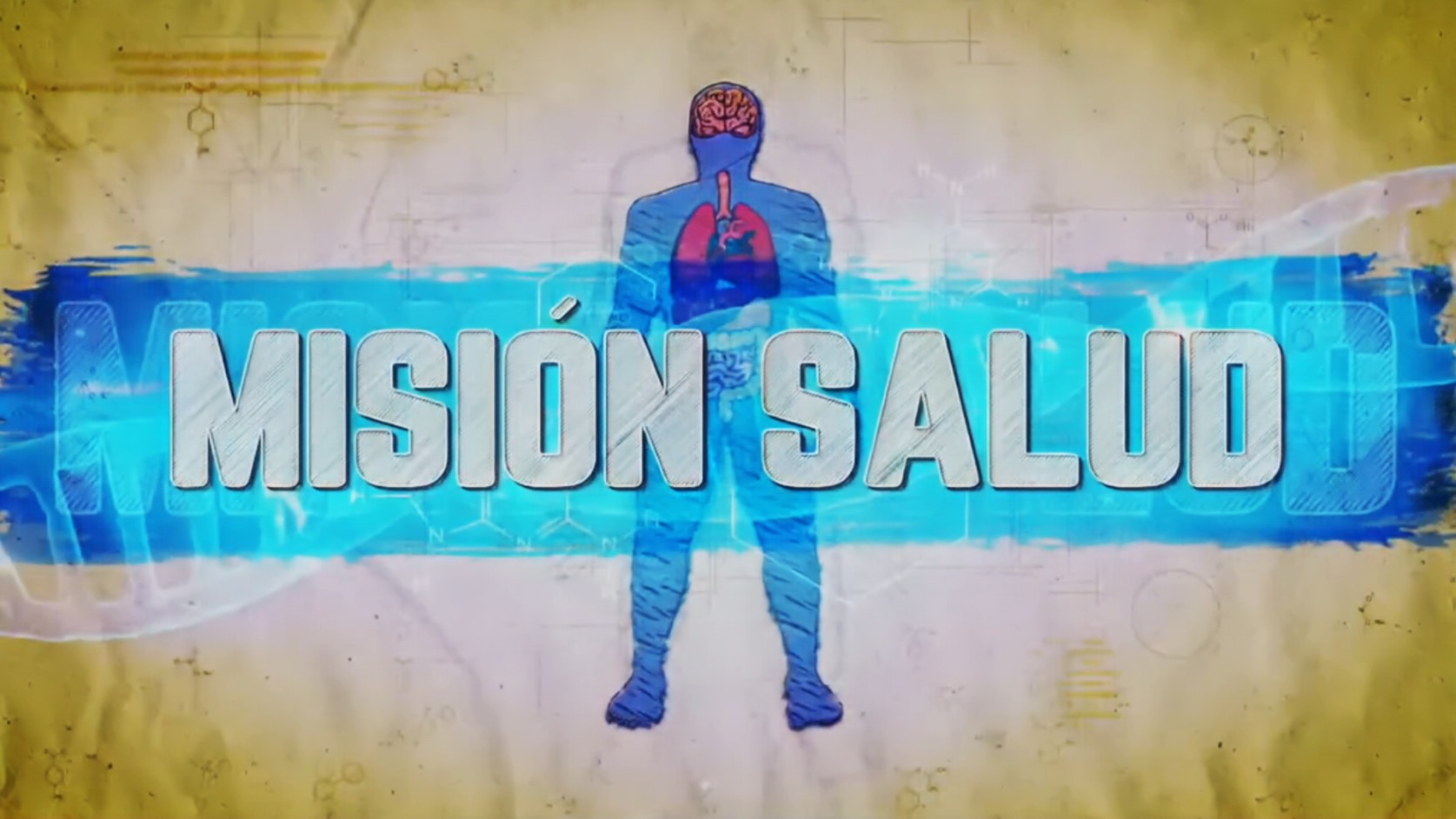 Misión Salud